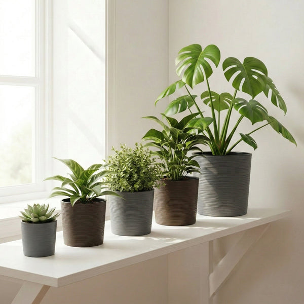 How to Choose the Right Size Plant Pot for Your Plants