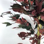 Artificial Ficus Tree Plant Capensia Ficus 120cm Realistic Faux Plants Botanik-1