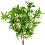 Artificial Foliage Hainan Elaeocarpus Stem 90cm-3