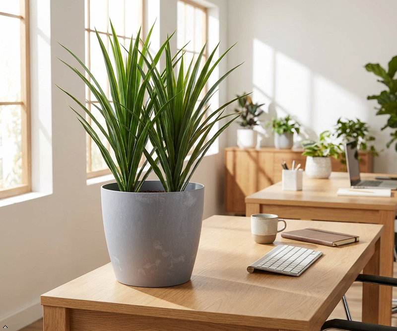 Concrete Effect Plant Pots – Plastic Indoor & Outdoor Flower Pots, Garden Planters, Large Plant Pots, Modern Decorative Planters, Grey & Black