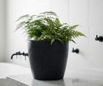 Concrete Effect Plant Pots – Plastic Indoor & Outdoor Flower Pots, Garden Planters, Large Plant Pots, Modern Decorative Planters, Grey & Black