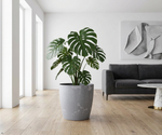 Concrete Effect Plant Pots – Plastic Indoor & Outdoor Flower Pots, Garden Planters, Large Plant Pots, Modern Decorative Planters, Grey & Black