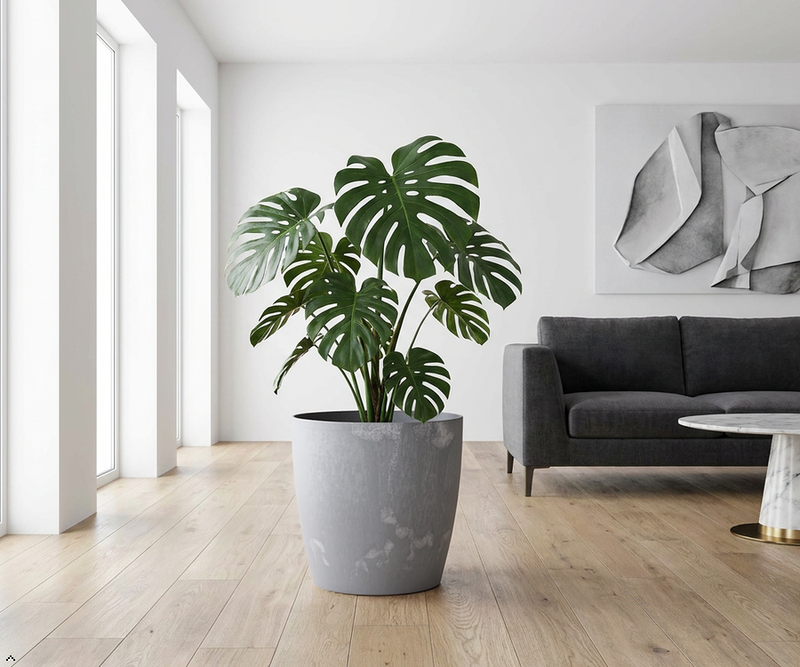Concrete Effect Plant Pots – Plastic Indoor & Outdoor Flower Pots, Garden Planters, Large Plant Pots, Modern Decorative Planters, Grey & Black