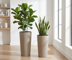 Modern Tall Ribbed Planter | Cylindrical Flower Pot for Indoor & Outdoor | Weather-Resistant Lightweight Plastic | Coffee Latte | 30cm x 57cm