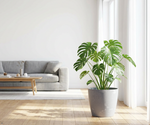 Concrete Effect Plant Pots – Plastic Indoor & Outdoor Flower Pots, Garden Planters, Large Plant Pots, Modern Decorative Planters, Grey & Black