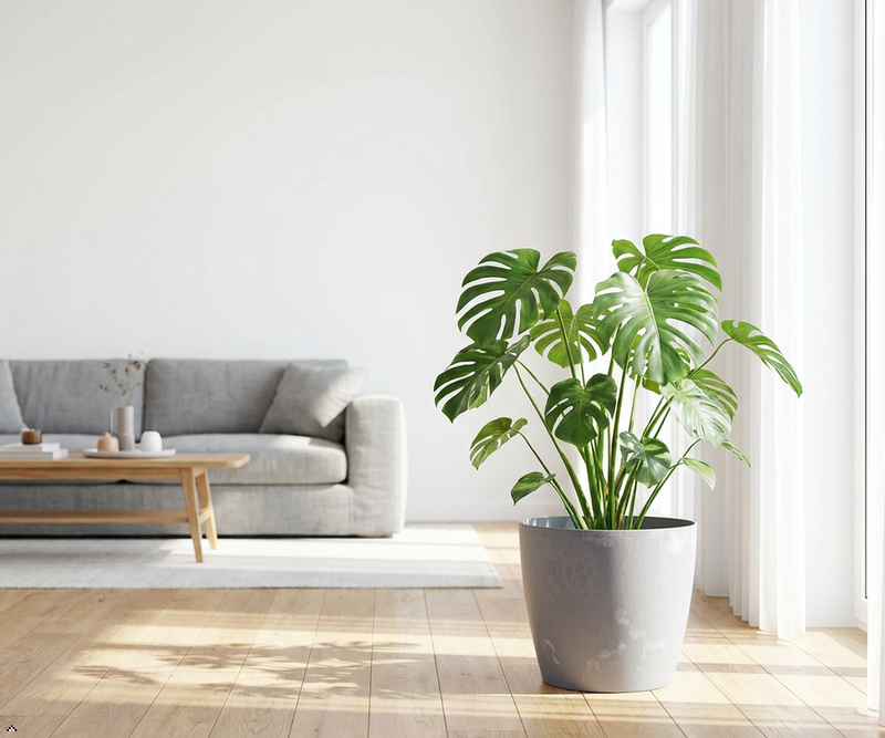 Concrete Effect Plant Pots – Plastic Indoor & Outdoor Flower Pots, Garden Planters, Large Plant Pots, Modern Decorative Planters, Grey & Black