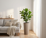 Modern Tall Ribbed Planter | Cylindrical Flower Pot for Indoor & Outdoor | Weather-Resistant Lightweight Plastic | Coffee Latte | 30cm x 57cm