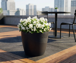 Concrete Effect Plant Pots – Plastic Indoor & Outdoor Flower Pots, Garden Planters, Large Plant Pots, Modern Decorative Planters, Grey & Black