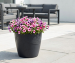 Concrete Effect Plant Pots – Plastic Indoor & Outdoor Flower Pots, Garden Planters, Large Plant Pots, Modern Decorative Planters, Grey & Black