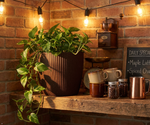 Gordanluk Eco Plant Pot – Espresso | Eco-Friendly Indoor Planter Ribbed Design, Lightweight, UV & Frost Resistant