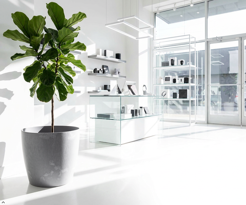 Concrete Effect Plant Pots – Plastic Indoor & Outdoor Flower Pots, Garden Planters, Large Plant Pots, Modern Decorative Planters, Grey & Black