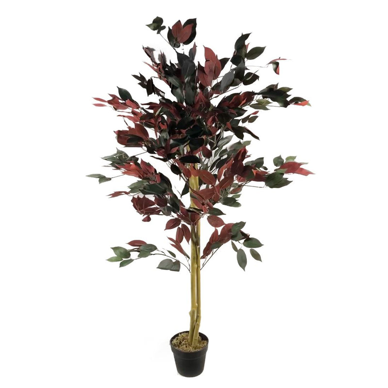 Artificial Ficus Tree Plant Capensia Ficus 120cm Realistic Faux Plants Botanik-3