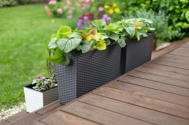 Large Tall Rattan Planter with Removable Liner Modern Wicker Plant Pot In/Outdoo
