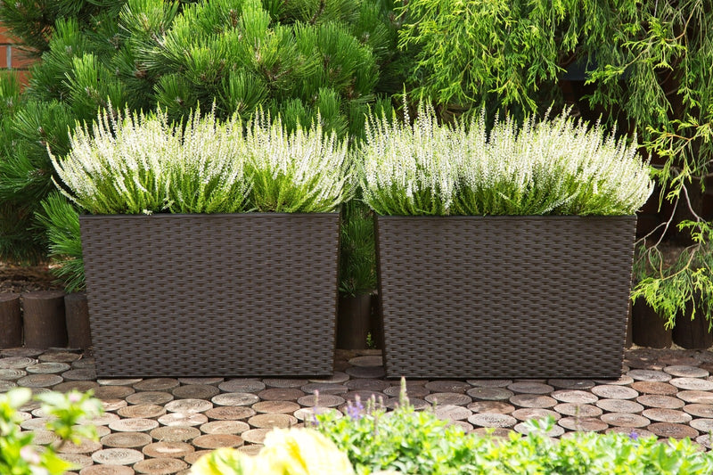 Large Tall Rattan Planter with Removable Liner Modern Wicker Plant Pot In/Outdoo