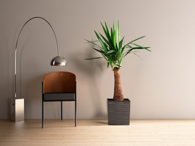 Square Plant Pot Textured Pattern with Insert Indoor Outdoor Patio Multi Colour