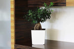 Square Gloss Plant Pot with Insert Shiny Modern Planter Black White Indoor Outdo