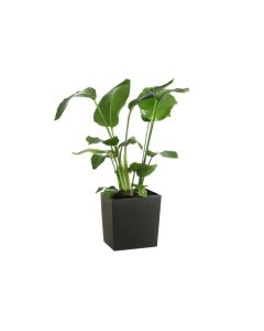 Low Square Shiny Flowerpot with internal plant riser (Black, 19 x 19 x 19.5cm)