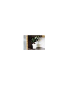 Low Square Shiny Flowerpot with internal plant liner (White, 30 x 30 x 31cm)