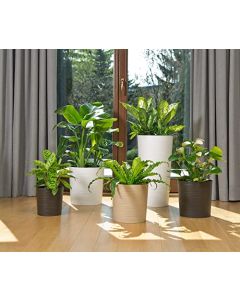 Tall Round Textured planter with Insert  (Brown, 19cm x 36cm)