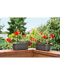 Balcony Trough Flower Pot/Planter 600mm (White)