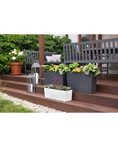 Low Rectangle Rattan Planter/Flowerpot with Insert (Brown)