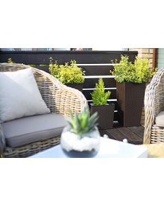 Low Square Rattan Flowerpot with internal plant liner (Black, 30 x 31 cm)