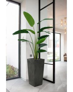 Tall Concrete effect plant pot with plant riser (Concrete Effect Black, 14 x 26cm)