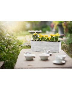 Low Rectangle Textured Planter/Flowerpot with Insert (White)