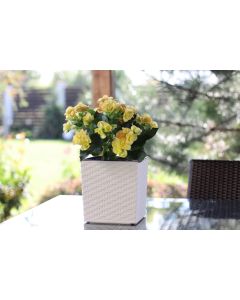 Low Square Rattan Flowerpot with internal plant liner (Brown, 30 x 31 cm)