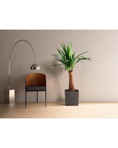 Low Square Textured Flowerpot with internal plant liner(Brown, 30 x 30 x 31cm)